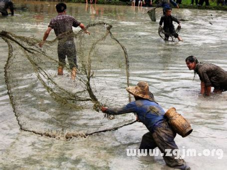 夢見撈小魚